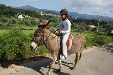 Ferienhaus in Coja (Serra da Estrela) oder Ferienwohnung oder Ferienhaus