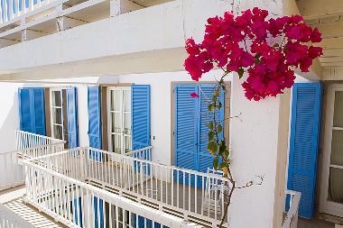 Ferienwohnung in sal rei (Boa Vista) oder Ferienwohnung oder Ferienhaus