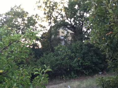 Ferienhaus in force  (Ascoli Piceno) oder Ferienwohnung oder Ferienhaus