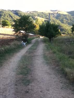 Ferienhaus in force  (Ascoli Piceno) oder Ferienwohnung oder Ferienhaus