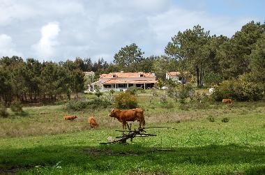 Ferienhaus in Rogil (Algarve) oder Ferienwohnung oder Ferienhaus