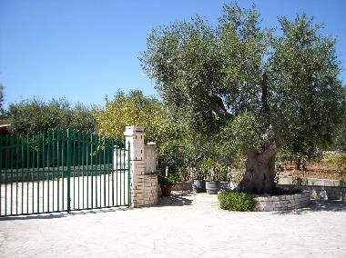 Ferienwohnung in Castellana Grotte (Bari) oder Ferienwohnung oder Ferienhaus