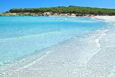 Ferienwohnung in Castellana Grotte (Bari) oder Ferienwohnung oder Ferienhaus