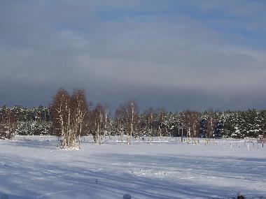 Der Birkenhof im Winter