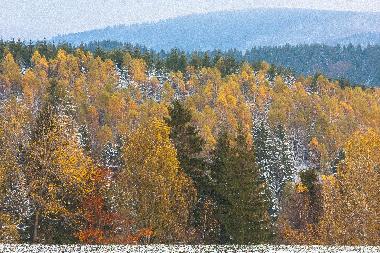 Ferienhaus in Gie�ubel (Th�ringer Wald) oder Ferienwohnung oder Ferienhaus