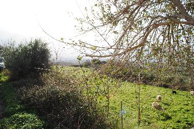 Ferienhaus in Dramia (Chania) oder Ferienwohnung oder Ferienhaus