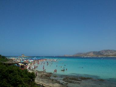 Ferienhaus in Sassari (Sassari) oder Ferienwohnung oder Ferienhaus