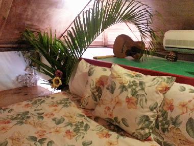 Ferienwohnung in Las Galeras (Samana) oder Ferienwohnung oder Ferienhaus