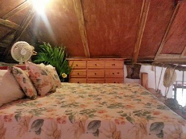 Ferienwohnung in Las Galeras (Samana) oder Ferienwohnung oder Ferienhaus