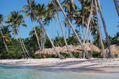 Ferienwohnung in Las Galeras (Samana) oder Ferienwohnung oder Ferienhaus