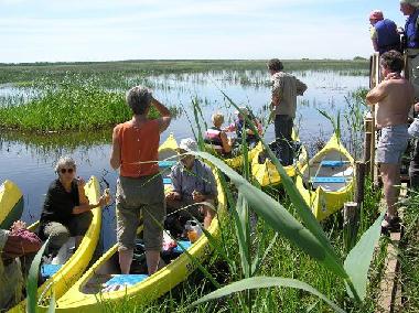 Ferienwohnung in kurmale pagast (Lettland) oder Ferienwohnung oder Ferienhaus