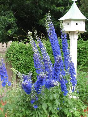 Ferienhaus in Colorado Springs (Colorado) oder Ferienwohnung oder Ferienhaus