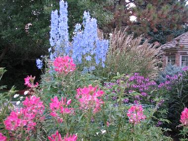 Ferienhaus in Colorado Springs (Colorado) oder Ferienwohnung oder Ferienhaus