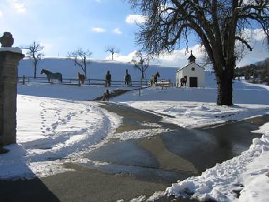 Auch Winterurlaub ist schn