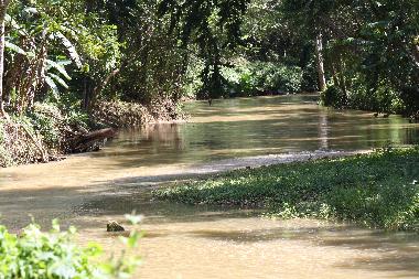 Traumhaftes Jamaica!