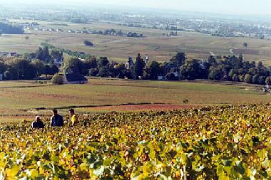Ferienhaus in Romenay (Sa�ne-et-Loire) oder Ferienwohnung oder Ferienhaus