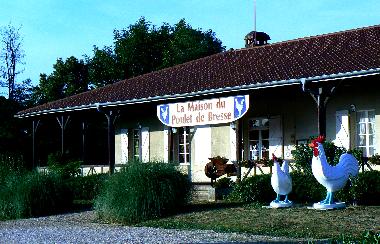 Ferienhaus in Romenay (Sa�ne-et-Loire) oder Ferienwohnung oder Ferienhaus