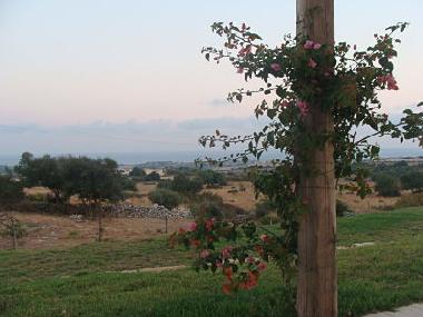 Ferienwohnung in Ragusa (Ragusa) oder Ferienwohnung oder Ferienhaus
