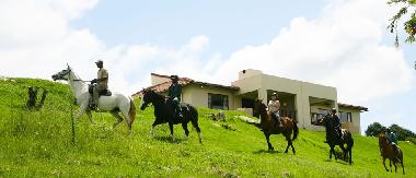 Chalet in Hidcote/Mooiriver (KwaZulu-Natal) oder Ferienwohnung oder Ferienhaus