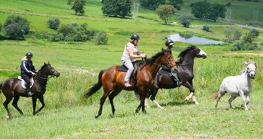 Chalet in Hidcote/Mooiriver (KwaZulu-Natal) oder Ferienwohnung oder Ferienhaus