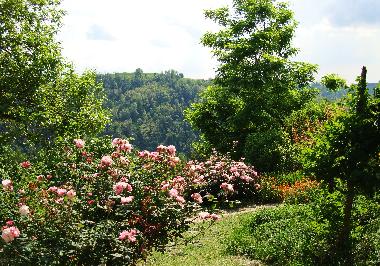 Ferienhaus in Bonvicino (Cuneo) oder Ferienwohnung oder Ferienhaus