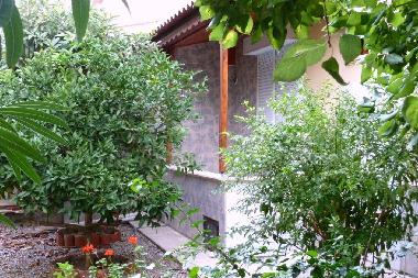 Terrasse Ausgang K�che