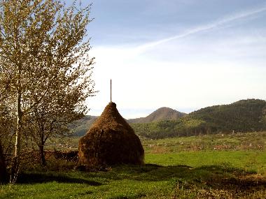 Vale am Horizont (Sibiu, Transsilvanien, Rum�nien)