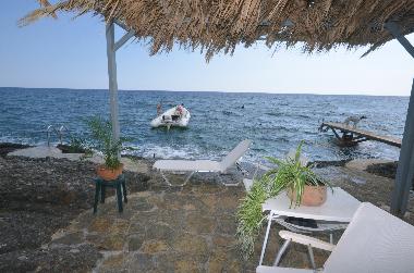 Villa in achlia (Lasithi) oder Ferienwohnung oder Ferienhaus