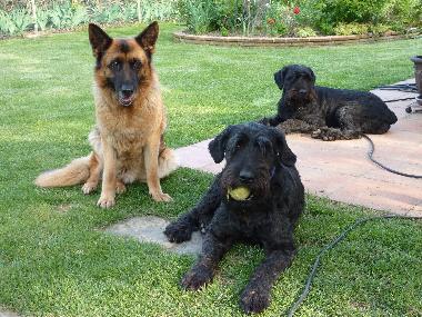 Ferienhaus in Peratallada (Girona) oder Ferienwohnung oder Ferienhaus