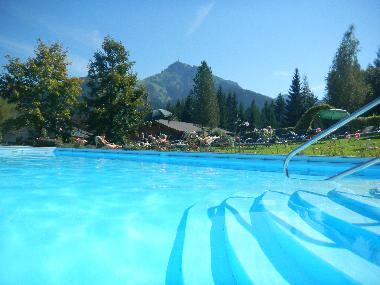 beheizter Swimmingpool mit Panorama Schiebehalle
