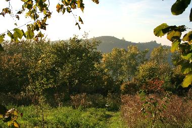 Ferienwohnung in Bonvicino (Cuneo) oder Ferienwohnung oder Ferienhaus
