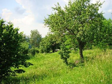 Ferienwohnung in Bonvicino (Cuneo) oder Ferienwohnung oder Ferienhaus