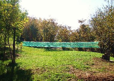 Ferienwohnung in Bonvicino (Cuneo) oder Ferienwohnung oder Ferienhaus