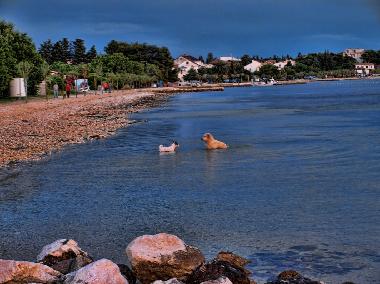 Ferienhaus in Biograd na moru (Zadarska) oder Ferienwohnung oder Ferienhaus