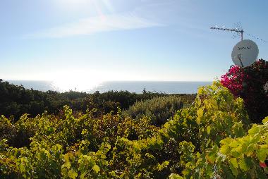 Ferienhaus in Ericeira (Grande Lisboa) oder Ferienwohnung oder Ferienhaus