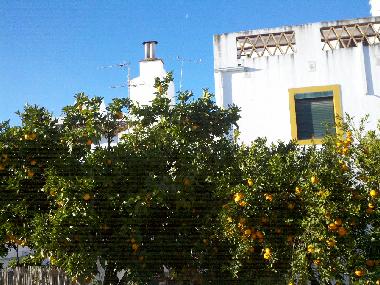 Ferienwohnung in Evora (Alentejo Central) oder Ferienwohnung oder Ferienhaus