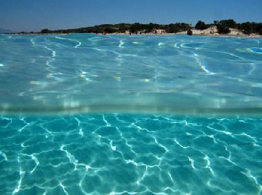 Villa in achlia (Lasithi) oder Ferienwohnung oder Ferienhaus