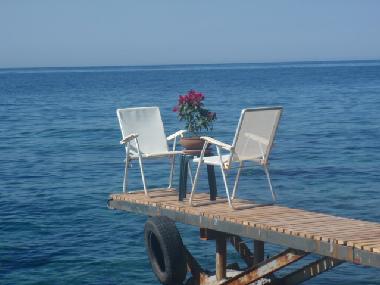 Villa in achlia (Lasithi) oder Ferienwohnung oder Ferienhaus