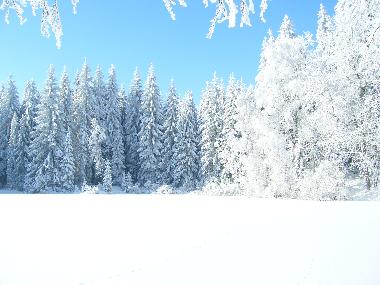 Chalet in Marianske Lazne (Karlovarsky Kraj) oder Ferienwohnung oder Ferienhaus