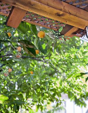 Ferienwohnung in Bat Yam (Tel Aviv) oder Ferienwohnung oder Ferienhaus