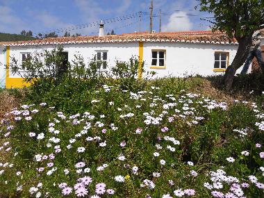 Ferienhaus in Baiona (Alentejo Litoral) oder Ferienwohnung oder Ferienhaus