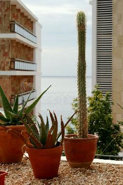 Chalet in Palma (Mallorca) oder Ferienwohnung oder Ferienhaus