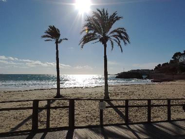 Chalet in Palma (Mallorca) oder Ferienwohnung oder Ferienhaus