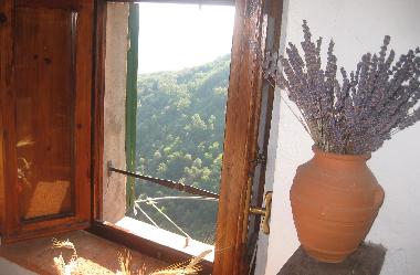 Ferienwohnung in Sassetta (Livorno) oder Ferienwohnung oder Ferienhaus