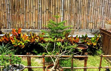 Villa in Banjar Sawaggan (Bali) oder Ferienwohnung oder Ferienhaus