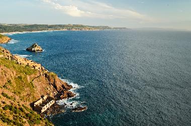 Der Blick aus dem Park