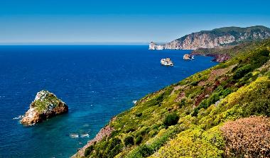 Der Blick aus dem Park