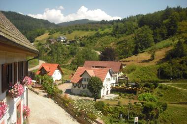 Ferienhaus in Oppenau-Lierbach (Schwarzwald) oder Ferienwohnung oder Ferienhaus