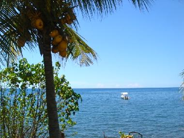 Villa in Lovina / Dencarik (Bali) oder Ferienwohnung oder Ferienhaus