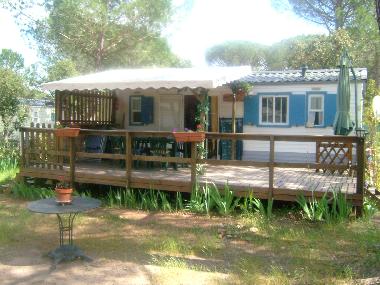 Chalet in Vidauban (Var) oder Ferienwohnung oder Ferienhaus